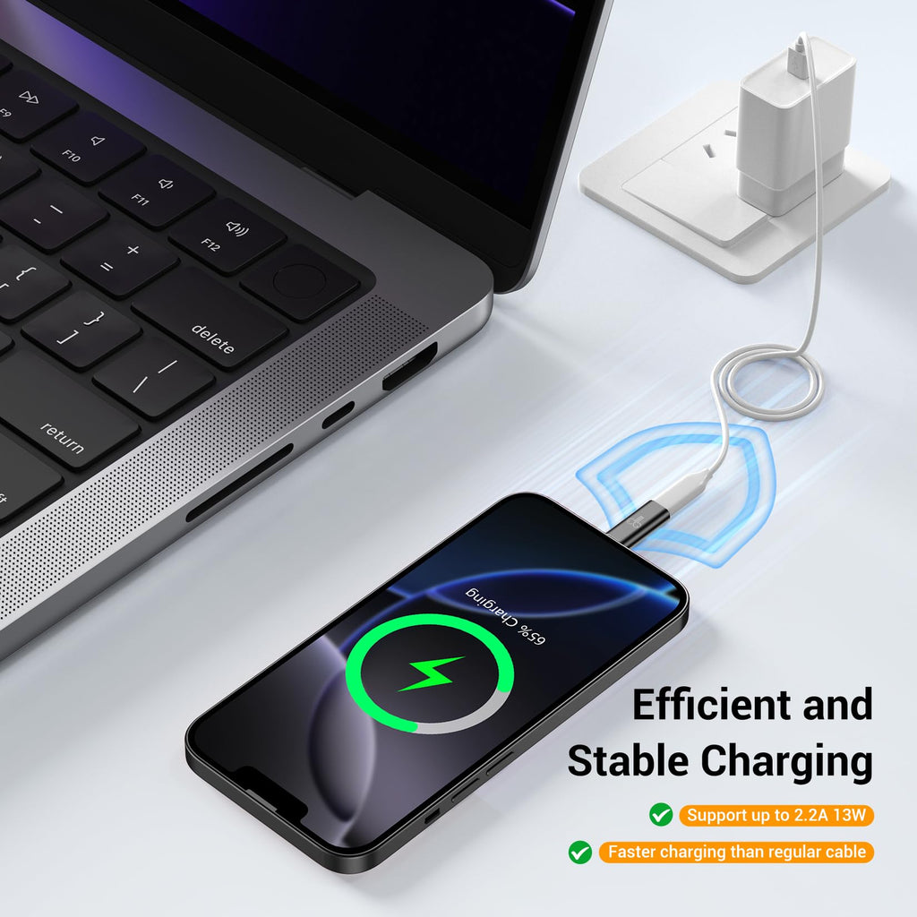 Temdan 4 Pack Lightning to USB C Adapter for iPhone 15/16/17 Pro/17 Pro Max,for iPhone 17/16 Charger,17/16 Accessories,Fast Charging & Data Transfer,USB C Charger Connector Cable,Not for Audio/OTG