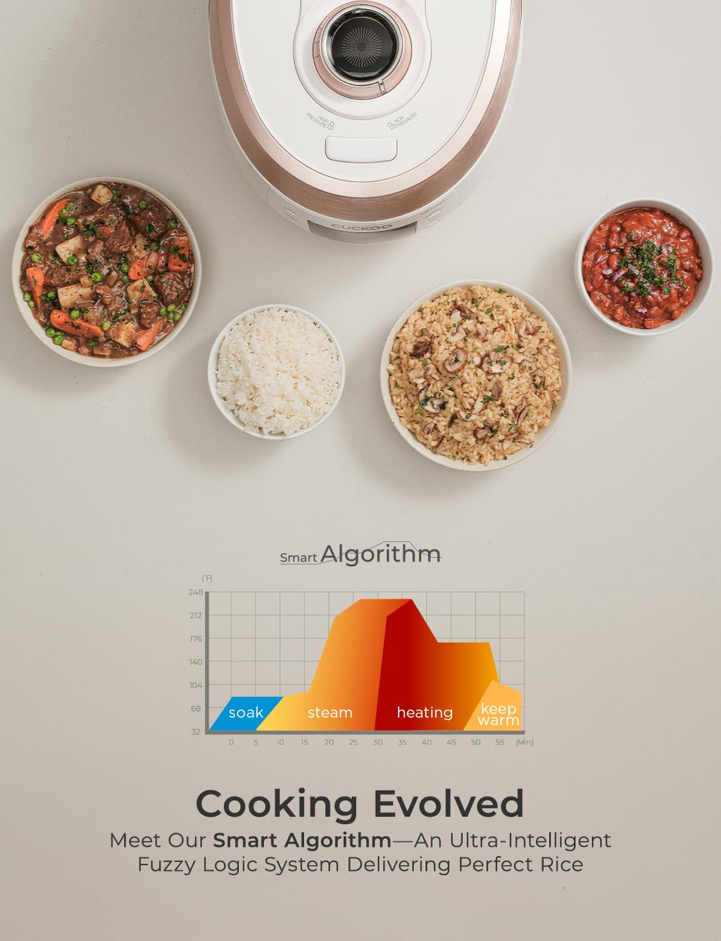 Cuckoo CRP-RT0609FW 6 cup Twin Pressure Plate Rice Cooker & Warmer with High Heat, GABA, Mixed, Scorched, Turbo, Porridge, Baby Food, Steam (Hi/Non Press.) and more, Made in Korea (White)