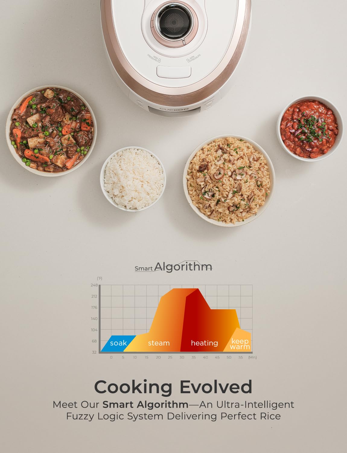 Cuckoo CRP-RT0609FW 6 cup Twin Pressure Plate Rice Cooker & Warmer with High Heat, GABA, Mixed, Scorched, Turbo, Porridge, Baby Food, Steam (Hi/Non Press.) and more, Made in Korea (White)